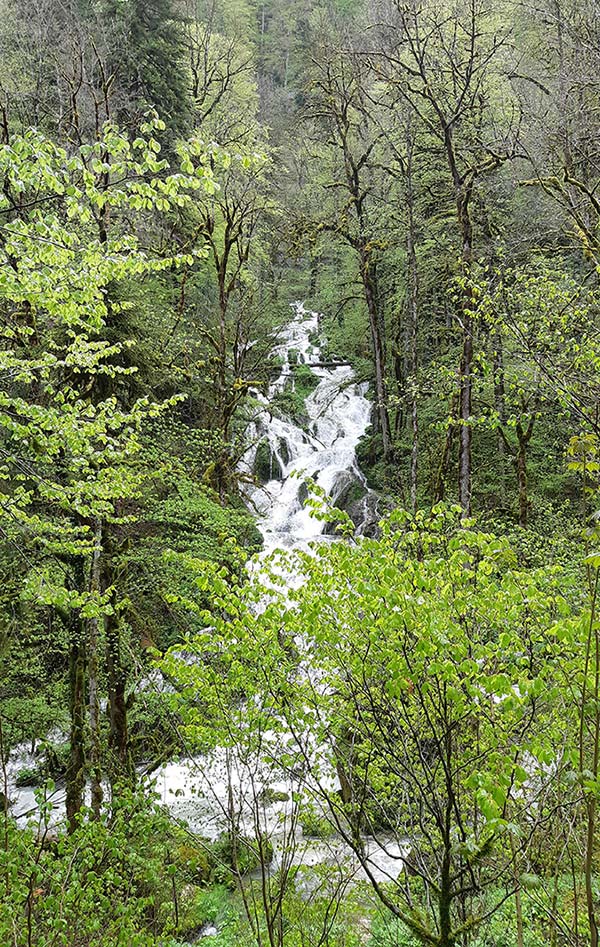 Cascade notre dame de consolation